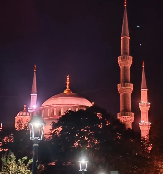 A mosque lit up at night in Istanbul